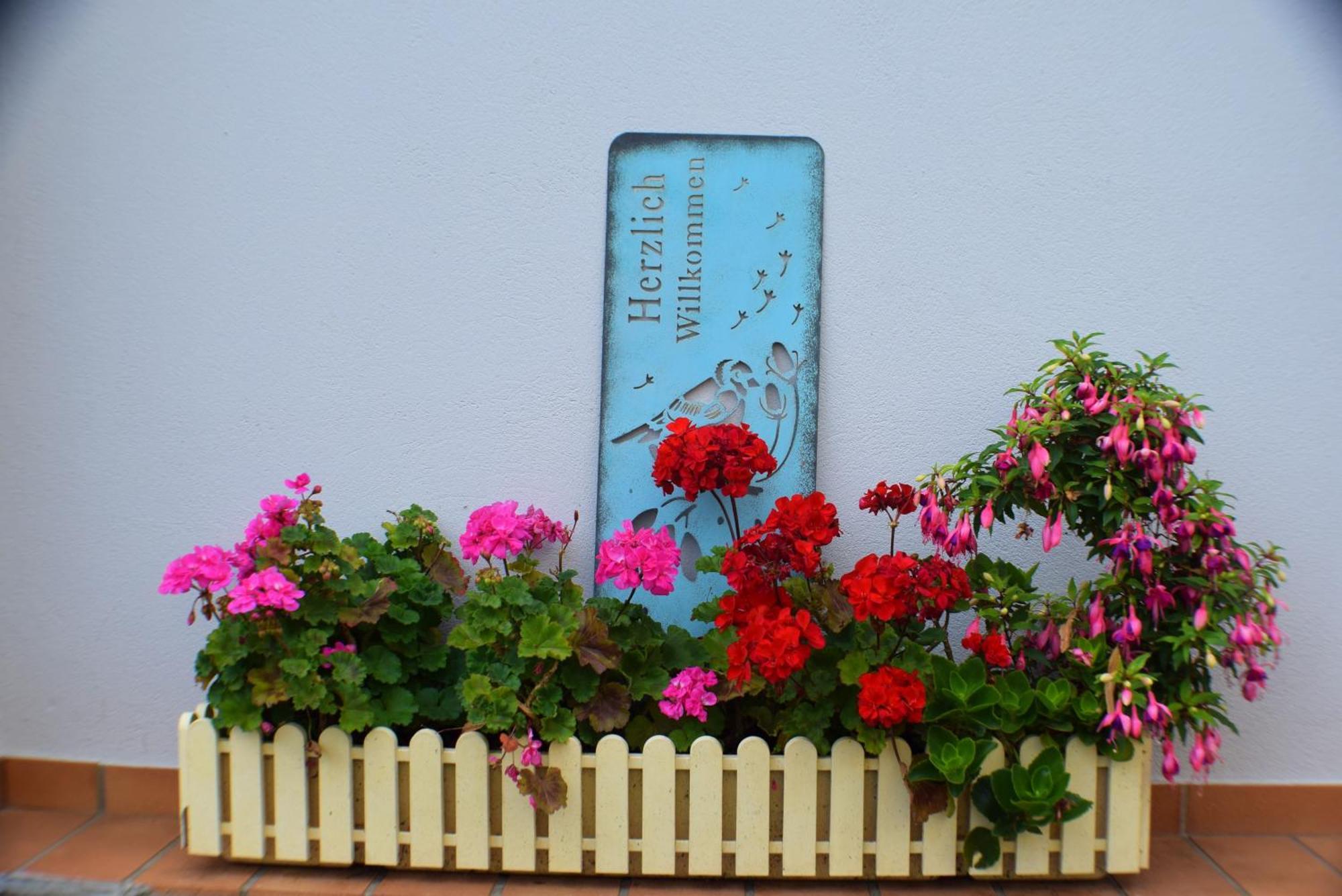 Ferienwohnung Goethe Bernkastel-Kues Εξωτερικό φωτογραφία