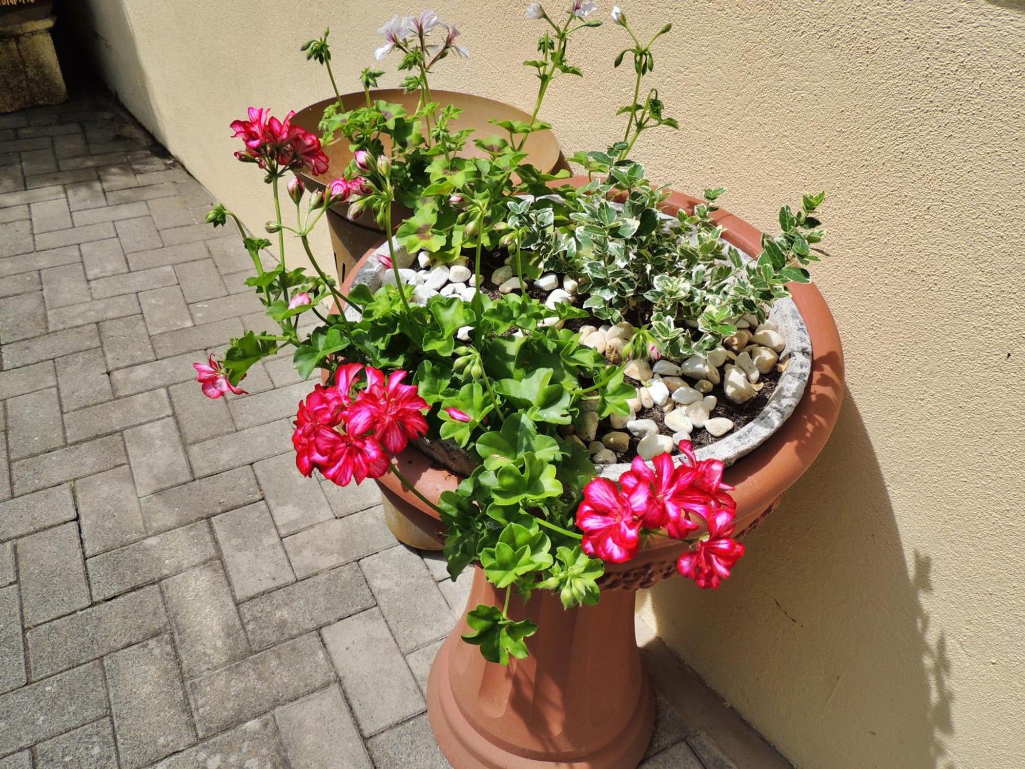 Ferienwohnung Goethe Bernkastel-Kues Εξωτερικό φωτογραφία